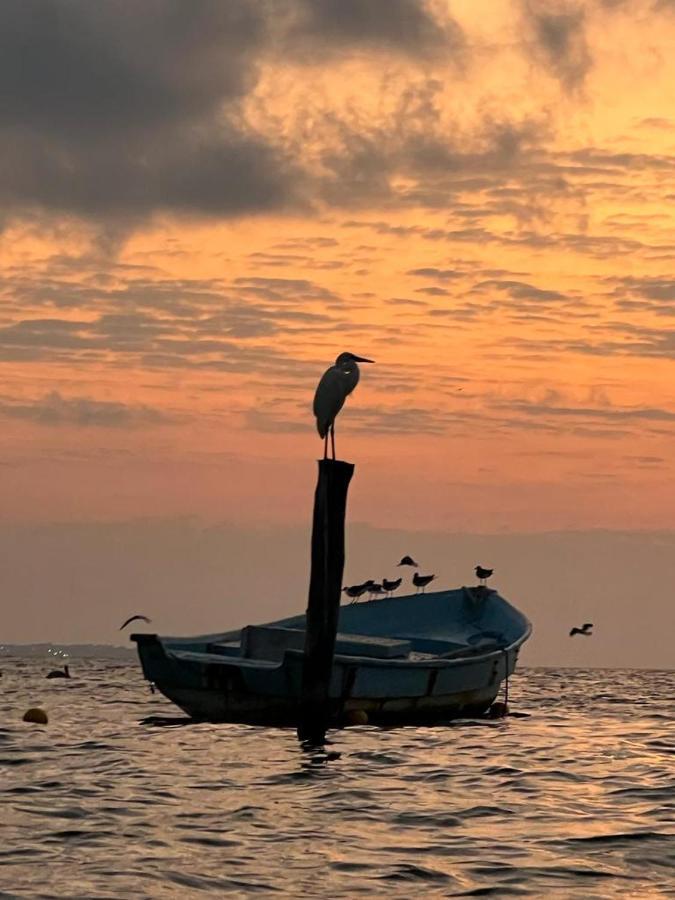 Apartmán Tu Casa En El Caribe Cancún Exteriér fotografie